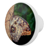 フクロウチョウが閉じる  セラミックノブ (右)