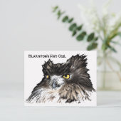 フクロウバストのはがき ポストカード (スタンド正面)