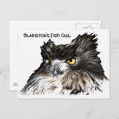 フクロウバストのはがき ポストカード (正面/裏面)