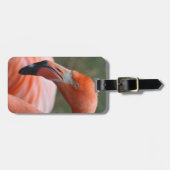 フクロウヒ ラゲッジタグ (正面横)