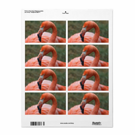 フクロウヒ ラベル (フルシート)