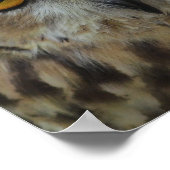 フクロウフォトポスタープリント ポスター (角)