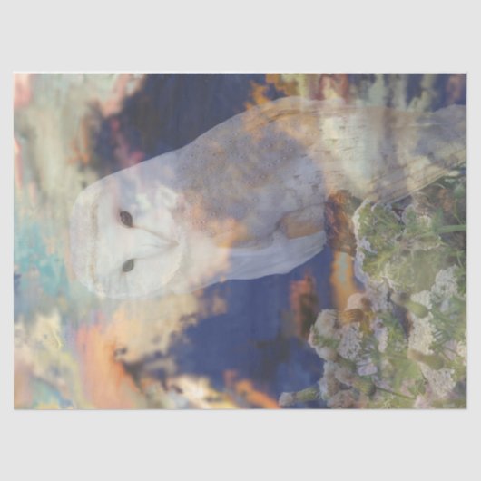 フクロウブリーズデクページティッシュペーパー 薄葉紙 (正面)