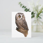 フクロウポートレートはがき ポストカード (スタンド正面)