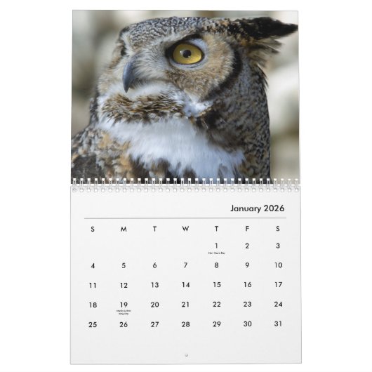 フクロウポートレートウォールカレンダー カレンダー (1月 2026)