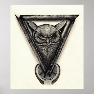 フクロウポートレート、インク及び鉛筆イラストレーション ポスター