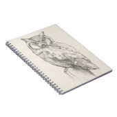 フクロウポートレート – スケッチ ノートブック (右側)