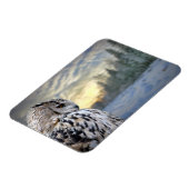 フクロウポートレート マグネット (左側)