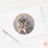 フクロウポートレート ラウンドシール (封筒)