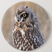 フクロウポートレート 缶バッジ (正面)