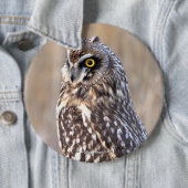 フクロウポートレート 缶バッジ (インサイチュ)