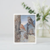 フクロウヴィンテージはがき ポストカード (スタンド正面)