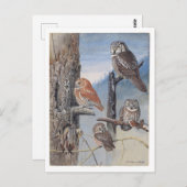 フクロウヴィンテージはがき ポストカード (正面/裏面)