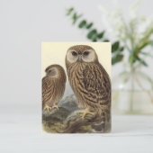 フクロウヴィンテージイラストレーション ポストカード (スタンド正面)