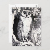 フクロウヴィンテージイラストレーション ポストカード (正面/裏面)