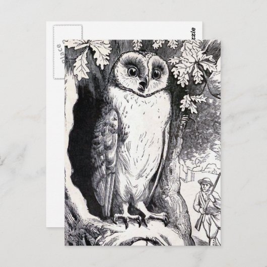 フクロウヴィンテージイラストレーション ポストカード (正面/裏面)