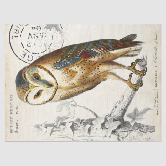 フクロウヴィンテージフランスのの消印の解除 薄葉紙 (正面)