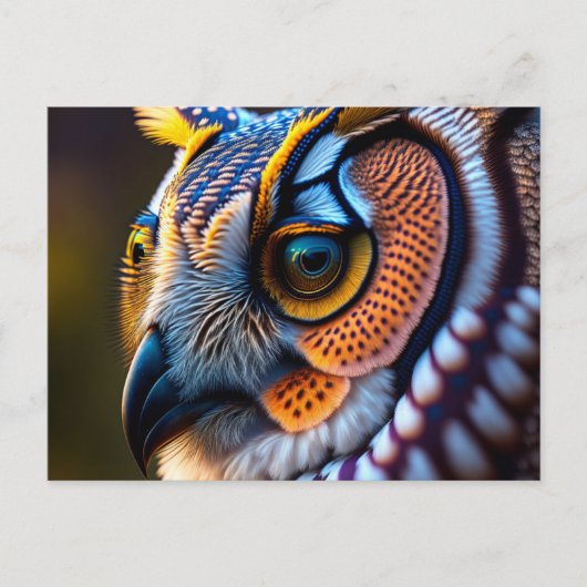 フクロウ付き葉書 ポストカード (正面)