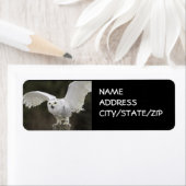 フクロウ住所 シール (インサイチュ)