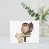 フクロウ兄弟姉妹水彩ポートレート ポストカード (スタンド正面)