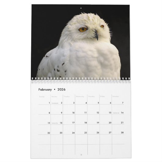 フクロウ写真と画像2025 カレンダー (2月 2026)