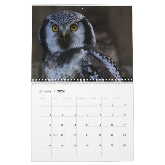 フクロウ写真と画像2025 カレンダー (1月 2026)