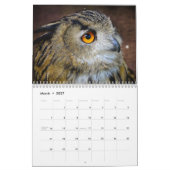 フクロウ写真と画像2025 カレンダー (3月 2027)