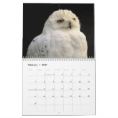 フクロウ写真と画像2025 カレンダー (2月 2027)