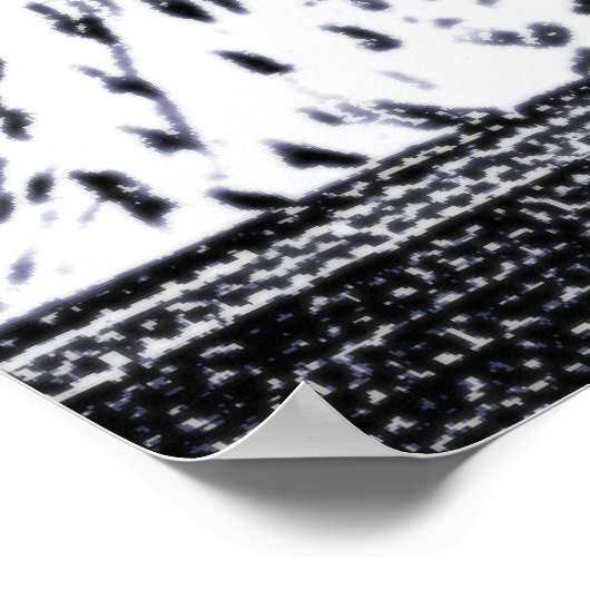 フクロウ写真 ポスター (角)