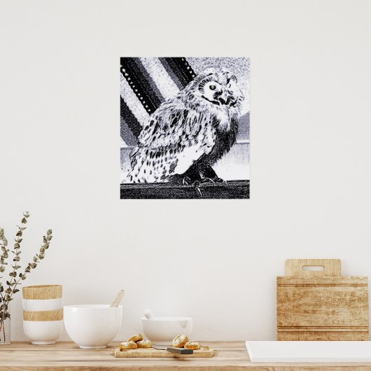 フクロウ写真 ポスター (キッチン)