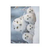 フクロウ動物家族さまよう自然 ノートパッド (回転)