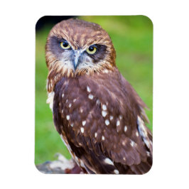 フクロウ可撓磁石 マグネット