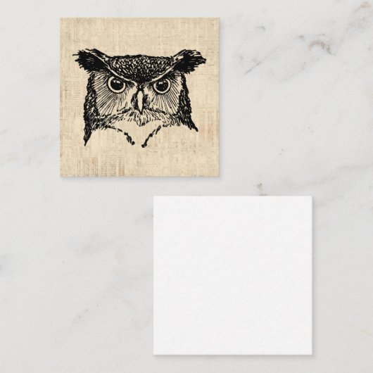 フクロウ図解入りの、写真付きのの芸術 エンクロージャーカード (正面/裏面)