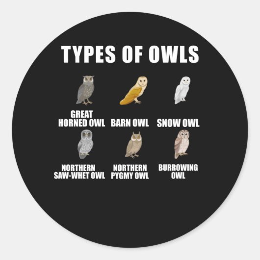 フクロウ型雪舎の鳥観察愛鳥 ラウンドシール (正面)