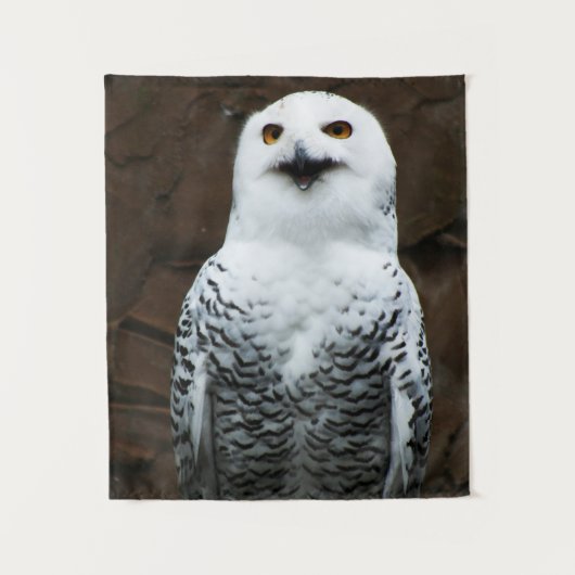 フクロウ属 タペストリー (正面)