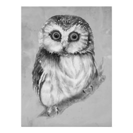 フクロウ愛好家のためのミニマルな水彩プリントアート」 ポスター