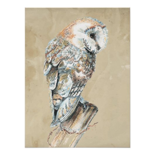 フクロウ愛好家のためのミニマルな水彩プリントアート」 ポスター (正面)