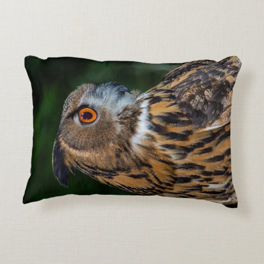 フクロウ枕 アクセントクッション (裏面)