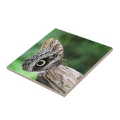 フクロウ目バタフライ タイル (側面)