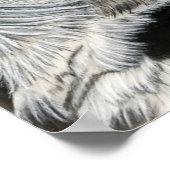 フクロウ目（右） ポスター (角)