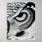 フクロウ目（右） ポスター (正面)