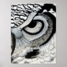 フクロウ目（右）