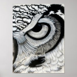 フクロウ目（右） ポスター