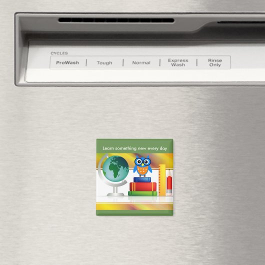 フクロウ磁石 マグネット (インサイチュ (食洗機))