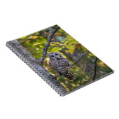 フクロウ秋 | Alger County, MI ノートブック (右側)