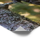 フクロウ秋 | Alger County, MI ポスター (角)