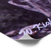 フクロウ科プリント ポスター (角)