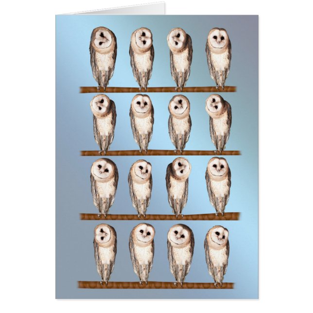 フクロウ空白のカード。 (正面)