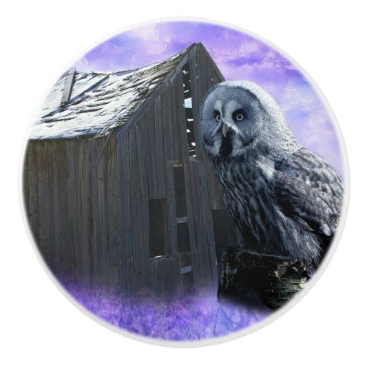 フクロウ納屋 セラミックノブ (正面)