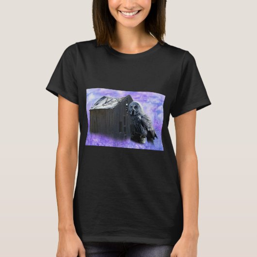 フクロウ納屋 Tシャツ (正面)
